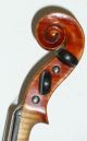 Alte 4/4 Violine Geige Fine Old Violin Labeled Mingi Alberto 1941 Saiteninstrumente Bild 3