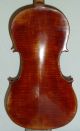 Alte 4/4 Violine Geige Fine Old Violin Labeled Mingi Alberto 1941 Saiteninstrumente Bild 4