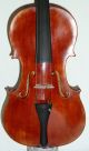 Alte 4/4 Violine Geige Fine Old Violin Labeled Mingi Alberto 1941 Saiteninstrumente Bild 5