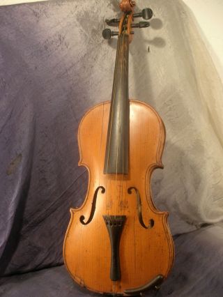 Schöne,  Alte Geige,  Um 1900 ? Bild