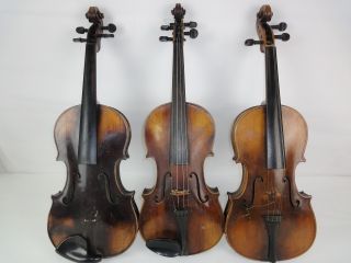 3 Alte Geigen Um 1880 1920 Für Den Restaurator Bild