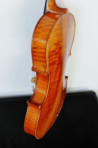 Feine Alte Schöne Violine Old Violin Nur 3tage Bild