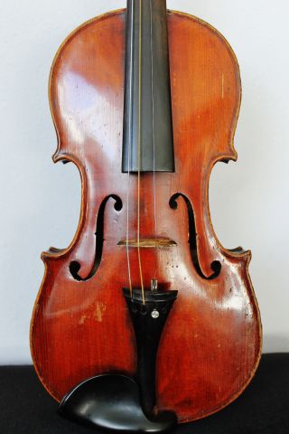 Feine Alte Violine Old Violin Nur 3tage Bild