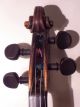 Historische Geige Johann Franz Placht Schönbach 178.  - Historic Violin J.  F.  Placht Saiteninstrumente Bild 5