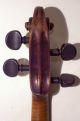 Historische Geige Johann Franz Placht Schönbach 178.  - Historic Violin J.  F.  Placht Saiteninstrumente Bild 7