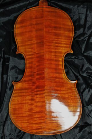 Feiner Alter Geigenboden Old Violin Nur 5 Tage Violon,  Violino Bild