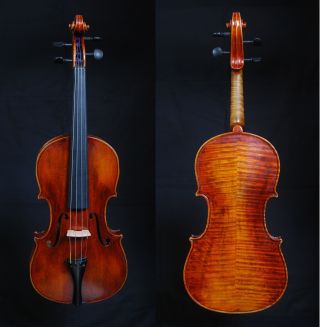 Alte Geige 4/4 Pistucci,  Video Bild