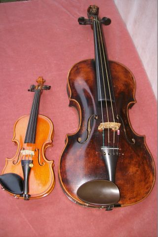 Sehr Kleine Geige (1 / 32) Bild