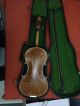 Alte Meister Geige Italien Saiteninstrumente Bild 6