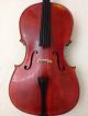 Rotbraunes Cello Mit Zettel, Saiteninstrumente Bild 2