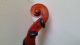 Schone 4/4 Cello Mit Zettel Chardon Pere (3 Tage) Alte Geige Bratsche Viola Violin Saiteninstrumente Bild 2