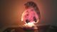 Muschellampe,  Tischlampe,  Muschel Riesen,  Nachttischlampe,  Lampe Maritime Dekoration Bild 1