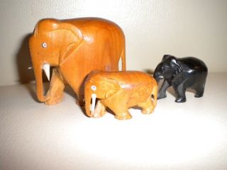 Holzfiguren - Schnitzerei - 3 Elefanten (1x 5cm,  2x 2,  5cm) Bild