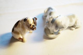 Royal Doulton Bone China Bulldogge,  Figurengruppe 2 Hunde Von Metzler&ortloff Um Bild