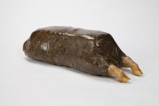 Mumie,  Objektkunst Bild