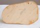 Rehgruppe Mit Kerzenhalter,  Handgeschnitzt 19 Cm X 12 Cm - 1950-1999 Bild 6