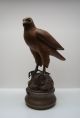 Bronze Groß Falke Falcon Wunderbares Unikat Akad.  Bildhauer Absolute Rarität Ab 2000 Bild 1