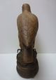 Bronze Groß Falke Falcon Wunderbares Unikat Akad.  Bildhauer Absolute Rarität Ab 2000 Bild 3