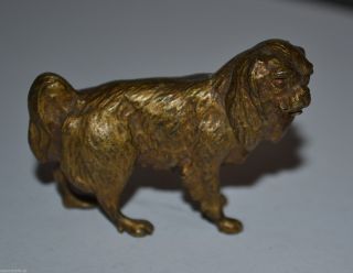 WunderschÖner Wiener Bronze Hund Um 1900 / Austria / Dog Figur Bild