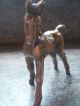 Bronze Figur Skulptur Figur Liebenswürdiges Fohlen Künstlerarbeit Höhe 13 Cm Bronze Bild 2