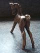 Bronze Figur Skulptur Figur Liebenswürdiges Fohlen Künstlerarbeit Höhe 13 Cm Bronze Bild 8