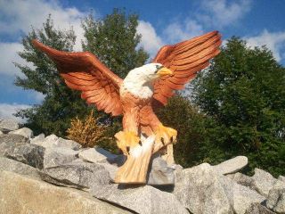 Adler Eagle Statue Figur Skulptur Deko Dekofigur Gartenfigur Geschek Vogel Falke Bild