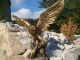 Adler Eagle Statue Figur Skulptur Deko Dekofigur Gartenfigur Geschek Vogel Falke Ab 2000 Bild 1