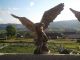 Adler Eagle Statue Figur Skulptur Deko Dekofigur Gartenfigur Geschek Vogel Falke Ab 2000 Bild 3