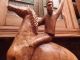 Art Deco Holz Reiter Pferd Geschnitzt Italien Holzfigur 1kg Theaterfundus 1900-1949 Bild 1