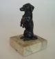 Dackel Stehend Hund Kleine Skulptur Auf Sockel 11cm Hoch Metall Gegossen 1950-1999 Bild 1