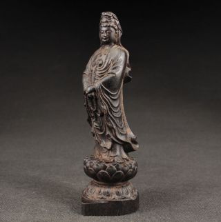 Sammeln Alte Kwan - Yin Skulpturen,  Ebenholz,  China Selten, Bild