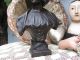 Frankreich Antike Jugendstil Büste Damen Büste Frauenbüste 1900 Shabby Chic 1900-1949 Bild 2