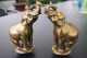Paar Alte Bronze Elefanten Auf Sockel - Zum Schrauben - Fein Ausgeformt Bronze Bild 4