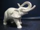 Rosenthal Großer Elefant,  Sehr Filigran,  Studio - House Bisquitporzellan,  Wie Nach Marke & Herkunft Bild 4