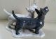 Rosenthal - 2 Scottish Terriers - Heidenreich Mit Signatur - Hunde Figuren Bild 10