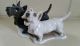 Rosenthal - 2 Scottish Terriers - Heidenreich Mit Signatur - Hunde Figuren Bild 1