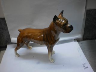 Boxer - Hund,  Goebel,  22 X 19 Cm Nr.  30 617 18 Bild