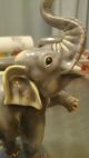 Nymphenburg : Prachtvoller Elefant Auf Der Trommel - Mod.  Nr.  657 (31) 1.  Wahl Nach Marke & Herkunft Bild 1