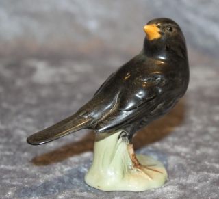 Goebel Porzellan - Vogel Amsel - Modell Nr.  273 - Glänzend Bild