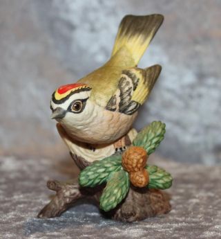 Goebel Porzellan - Vogel Goldhähnchen - Göbel Japan - Matt - Selten Bild