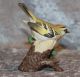 Goebel Porzellan - Vogel Goldhähnchen - Göbel Japan - Matt - Selten Nach Marke & Herkunft Bild 1