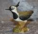 Goebel Porzellan - Vogel Des Jahres 1996 Kiebitz - Modell Nr.  299 - Matt - Nach Marke & Herkunft Bild 1