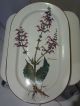 Villeroy & Boch Botanica Servierplatte 38x23 Nach Marke & Herkunft Bild 1