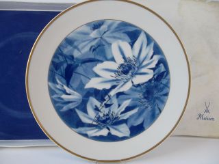 Wandteller Mit Blumen Porzellan Manufaktur Meissen Wall Plate Porcelain Bild