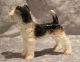 Goebel Porzellan - Hund Terrier Foxterrier Weiß - Modell Nr.  30 503 12 - Nach Marke & Herkunft Bild 1