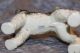 Goebel Porzellan - Hund Terrier Foxterrier Weiß - Modell Nr.  30 503 12 - Nach Marke & Herkunft Bild 2