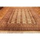 Prachtvoller Handgeknüpfter Perser Orientteppich Buchara Jomut 240x300cm Tappeto Teppiche & Flachgewebe Bild 1