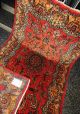 Echte Handgeküpfte - Orient Teppich Top / Ware - Tappeto - Tapis,  Rug Teppiche & Flachgewebe Bild 9