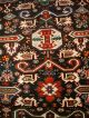 Old Rug Caucasian - Akstafa - Shirvan - Kuba Perepedil - Alter Kaukase Perfect Teppiche & Flachgewebe Bild 4