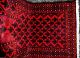 Echte Handgeküpfte - Afghanteppich Top / Ware - Tappeto - Tapis,  Rug Teppiche & Flachgewebe Bild 2
